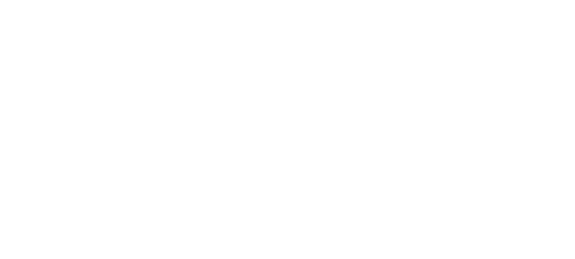 New Millennium Real Estate Corp.